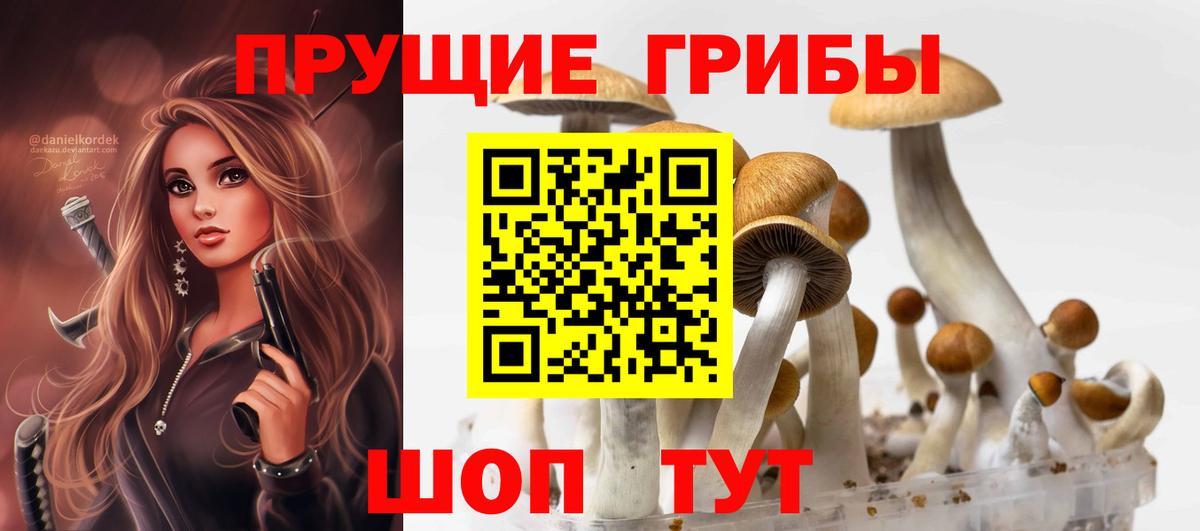 наркошоп  Галлюциногенные грибы мухоморы  Вход с VPN  Тайшет 